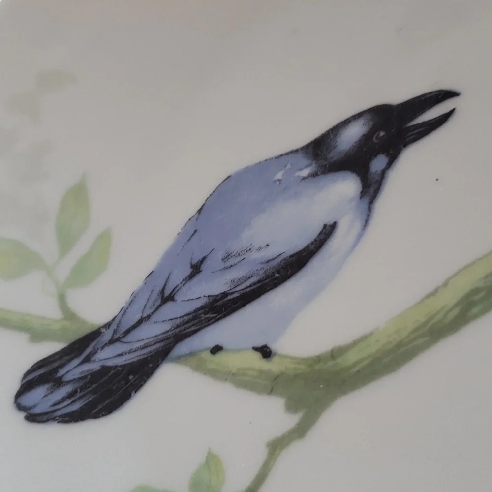 MZ Moritz Zdekauer Austria Blue Black Birds 8.5